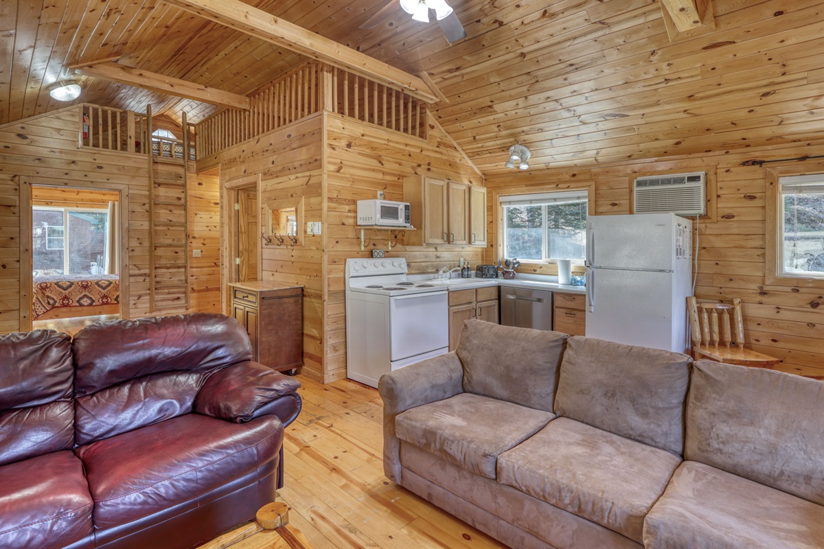 Living area with sofa and kitchen
