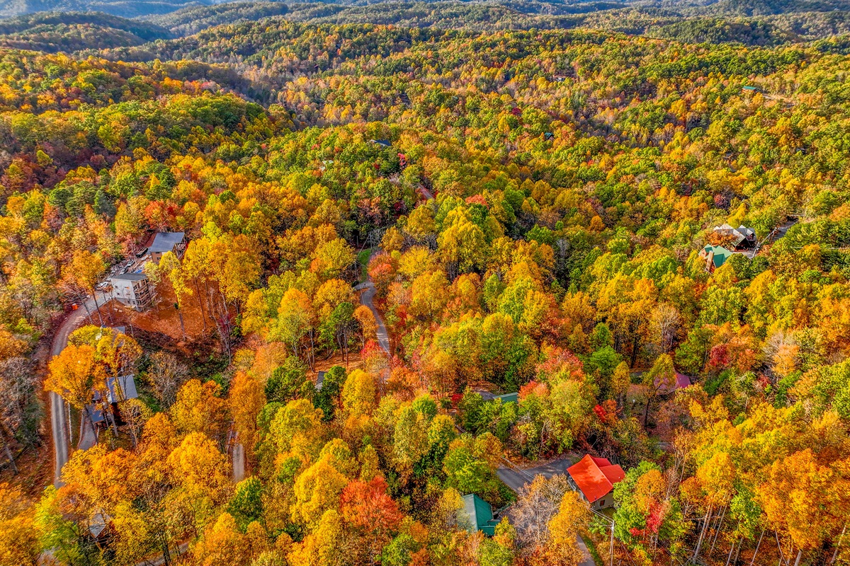An aerial view of a serene autumn landscape, where vibrant hues of gold, orange, and red blanket the forest. Cozy cabins nestle among the trees, with majestic mountains rising in the distance.