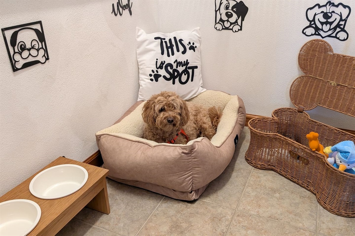 Your furry friend has his own suite