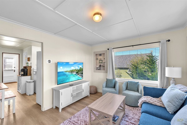 Large Screen TV in Living Room