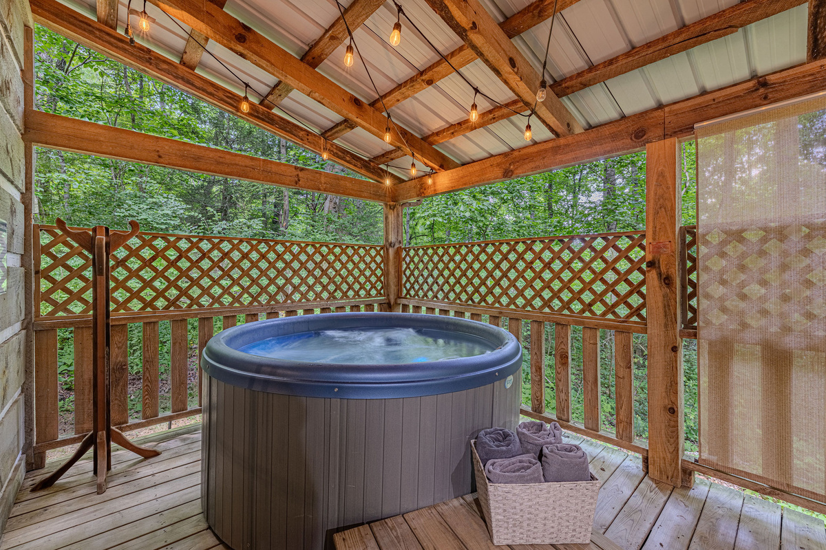 String lights, trees, hot tub. That's the whole plan.