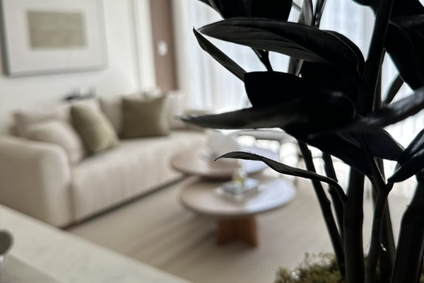 Thoughtful details and warm touches make Casita Camelia feel like home. 🌿🤍