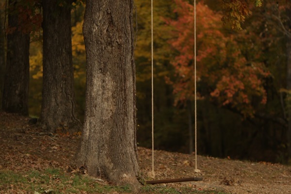 Tree swing!