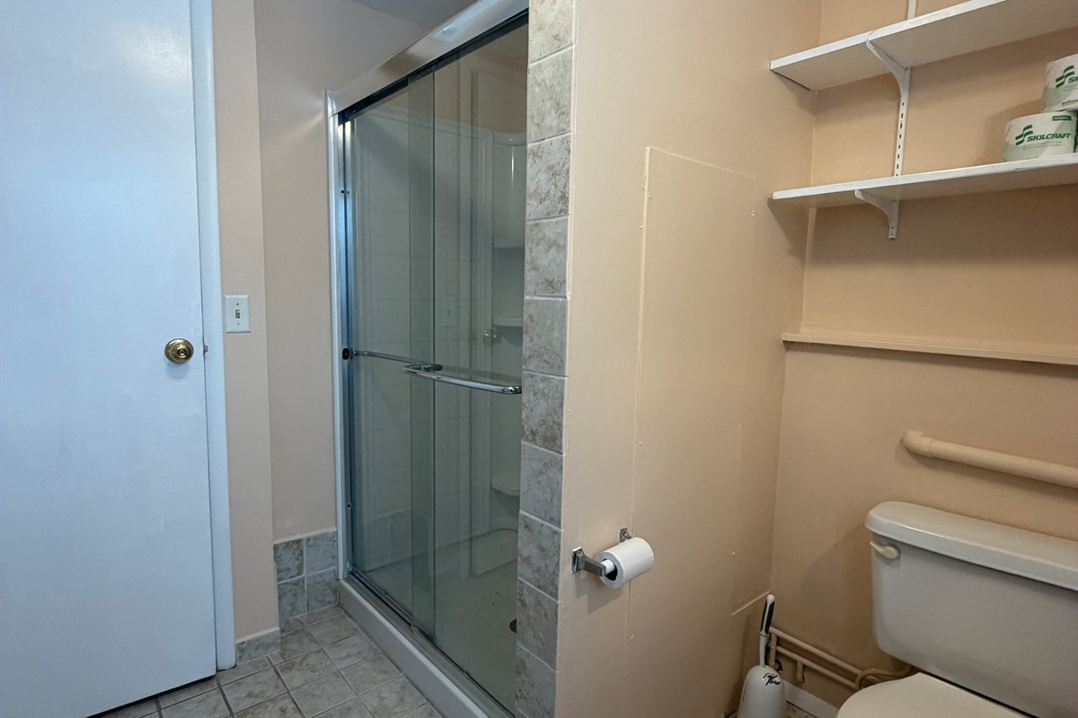 Lower level bathroom with shower and laundry