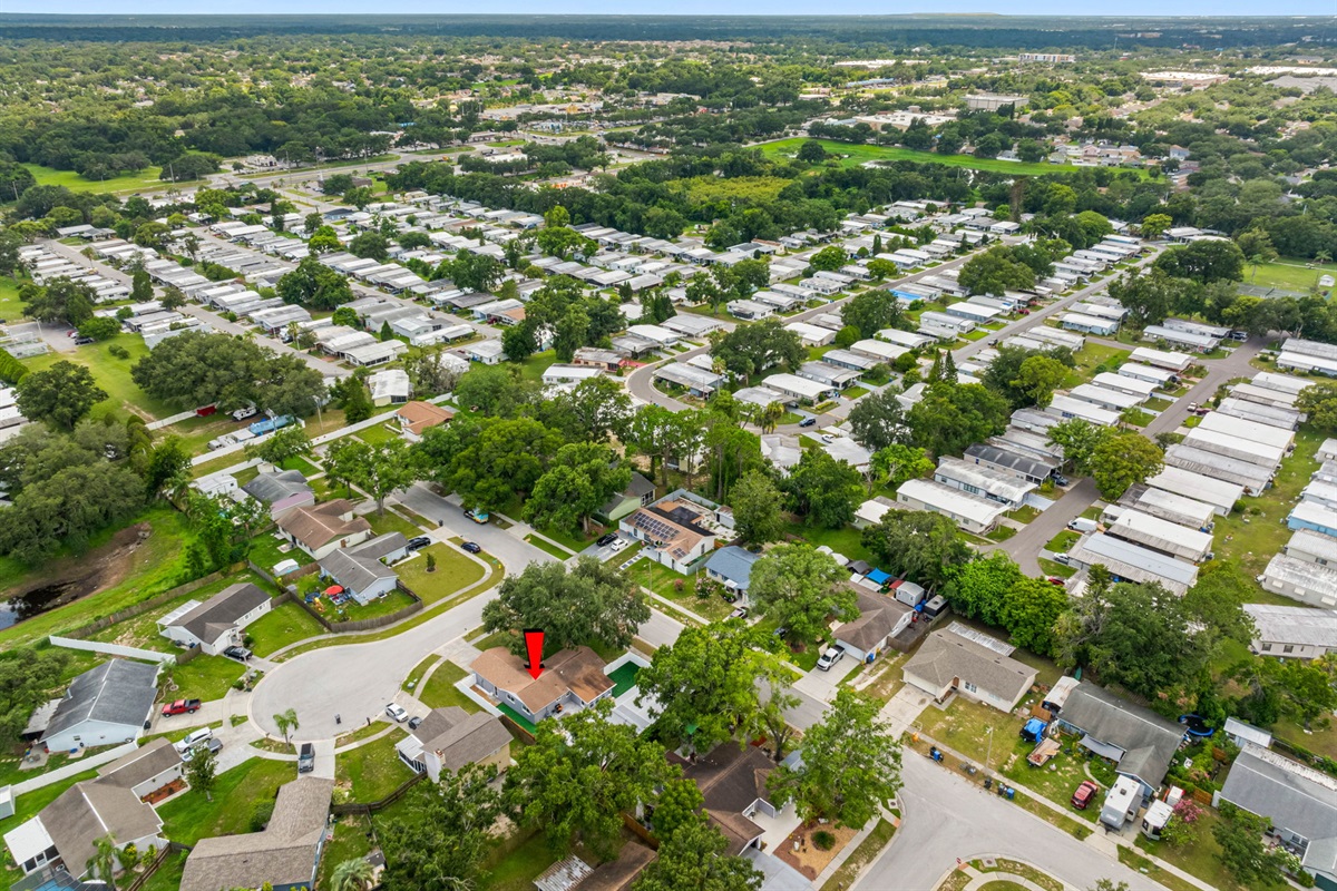 Aerial View of the Neighborhood