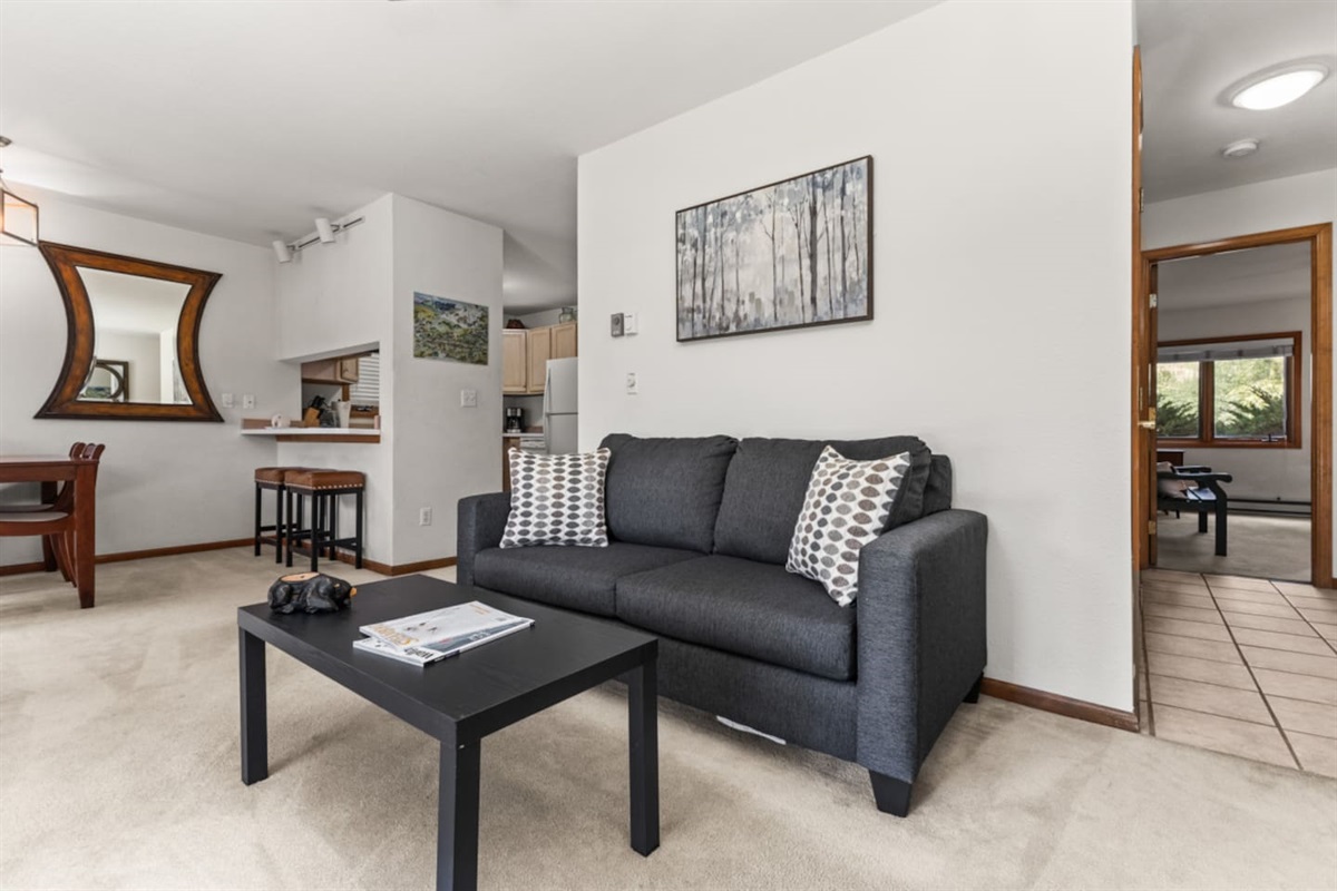 Full Sleeper Sofa