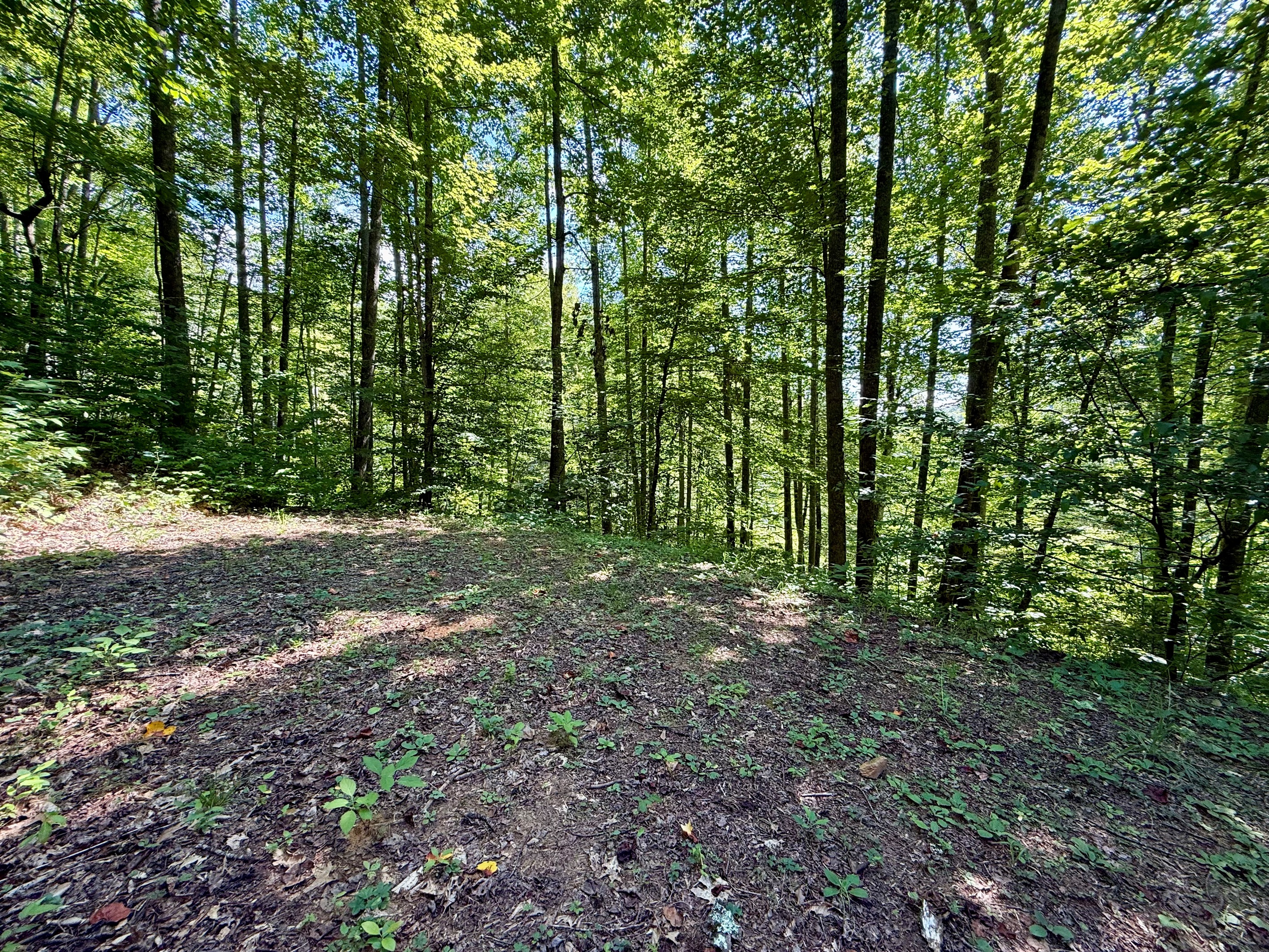 Small tent lot above your site adds extra camping space.