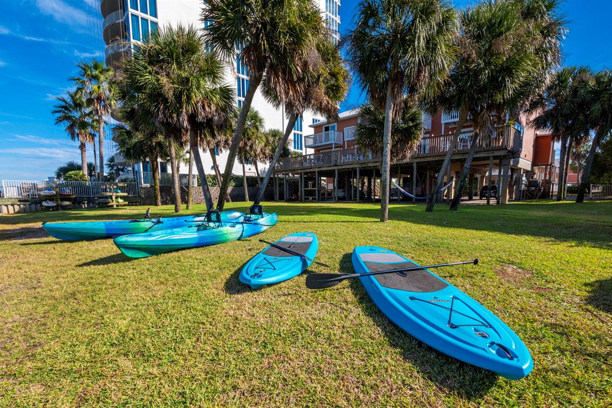 Relaxing beach vibes with kayaking and paddleboarding by palm trees and clear blue skies.
