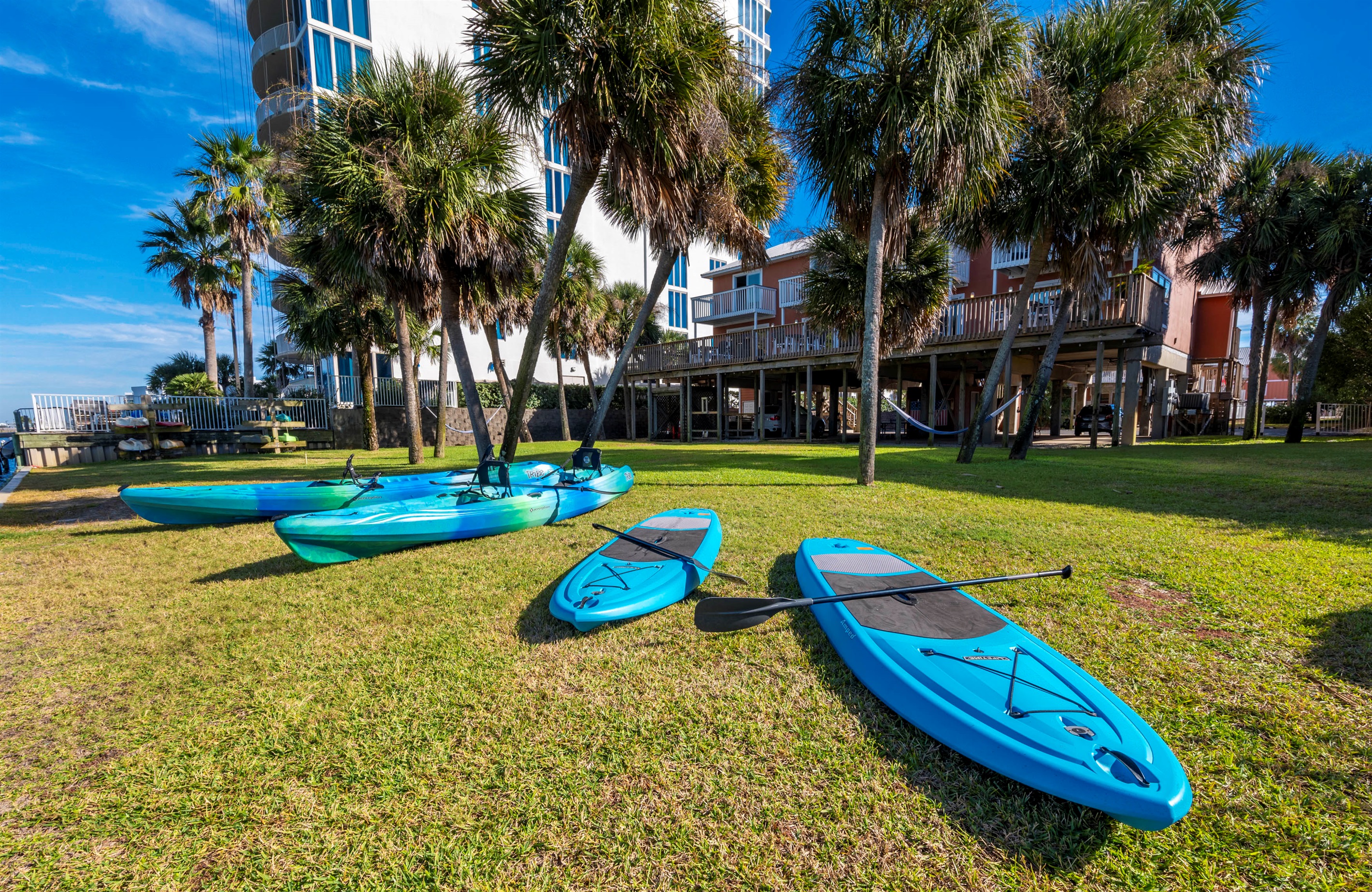 Relaxing beach vibes with kayaking and paddleboarding by palm trees and clear blue skies.
