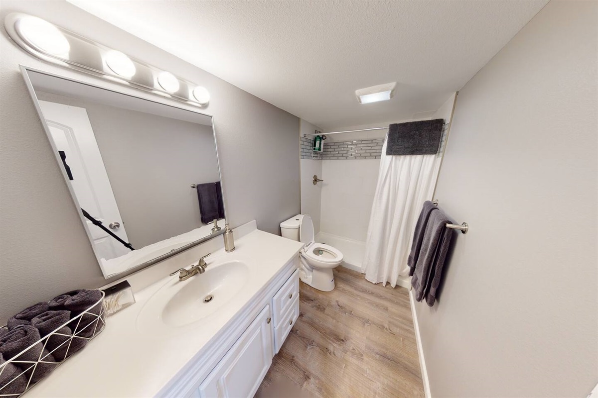 Basement bathroom #2.  Full sized restroom.