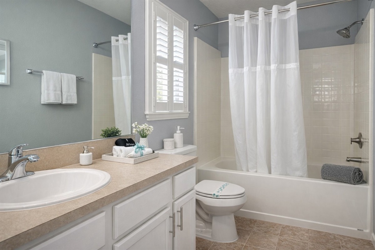 En Suite Master Bathroom with Tub and Amenities 