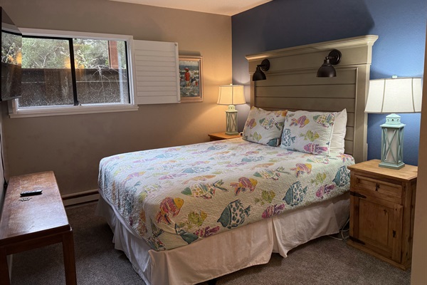 Downstairs Bedroom 2