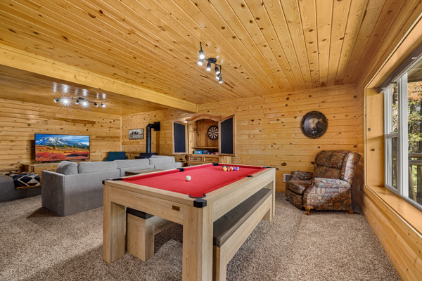 Pool / Ping Pong Table