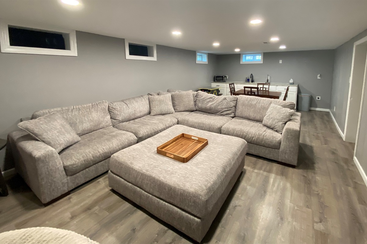 Basement Living Room 
