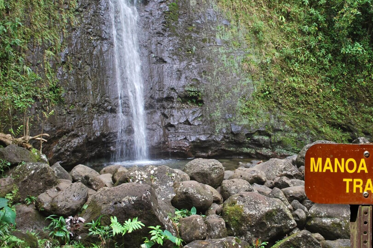Manoa Falls trail