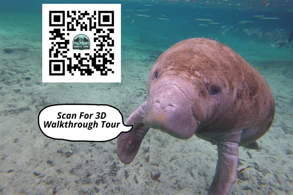 Scan for a 3D self guiding walk through tour