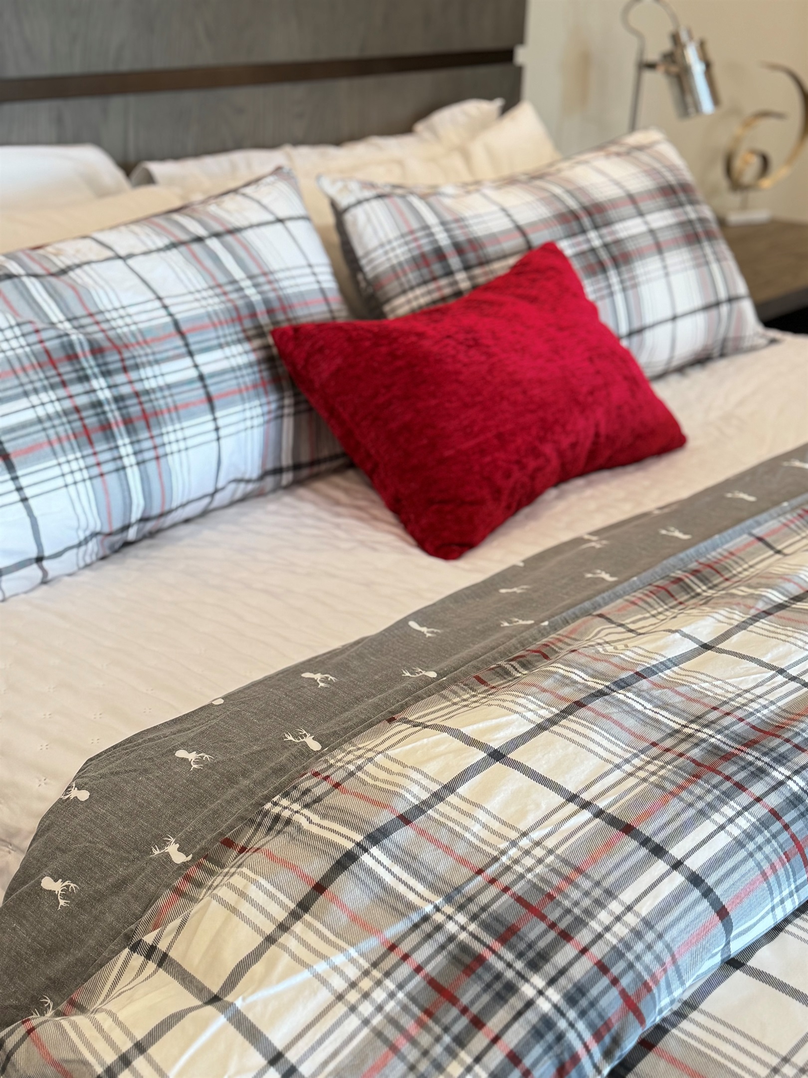 Lowe level Primary Bedroom has holiday sheets