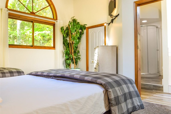 The primary bedroom also features a large walk-in closet.