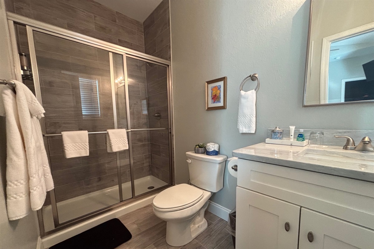 Ensuite Guest Bathroom