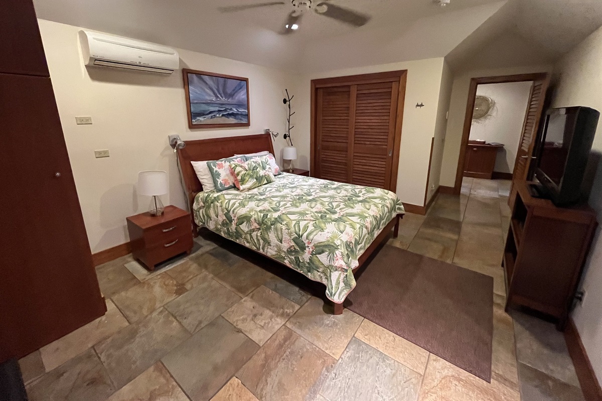 Downstairs bedroom (2)