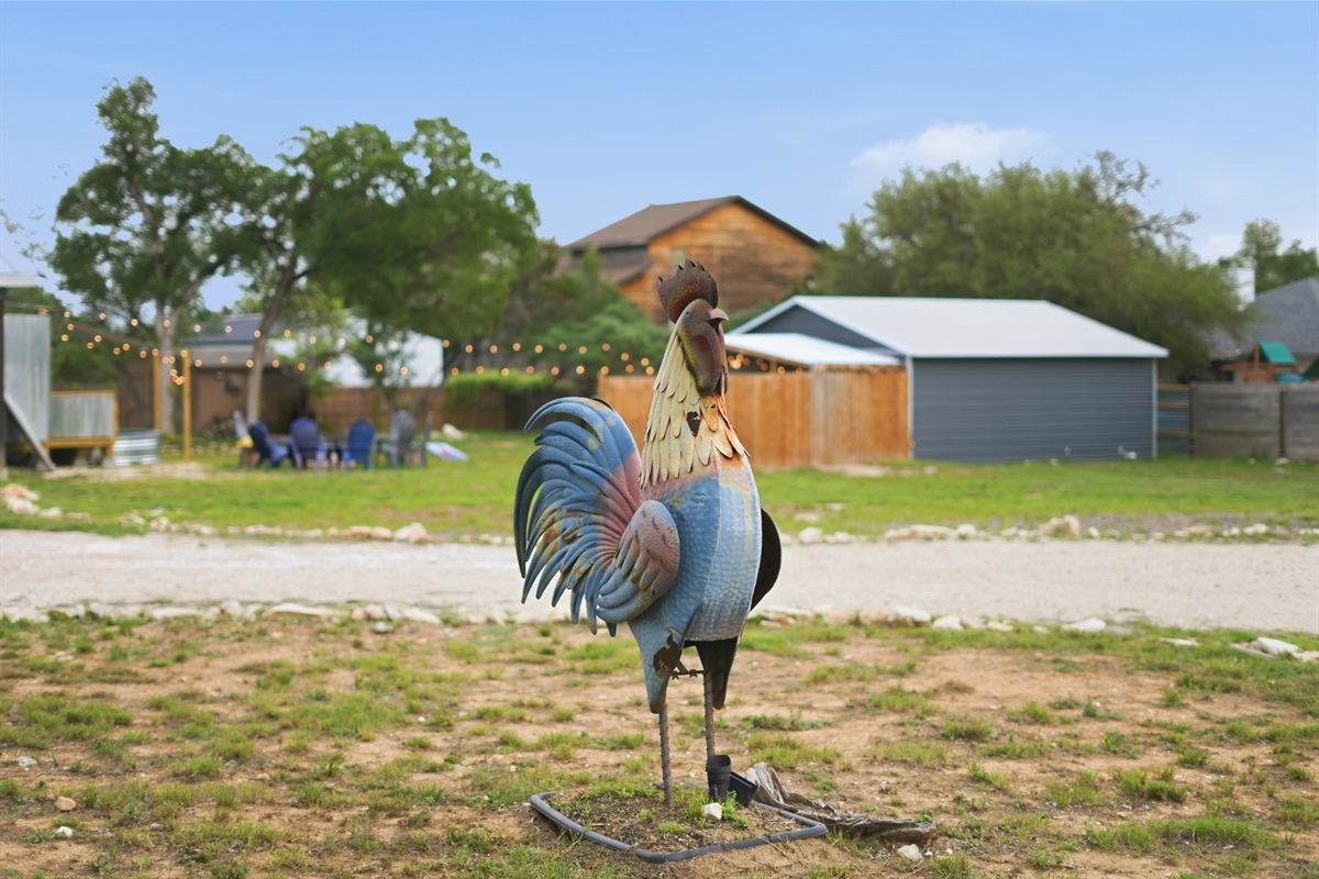 A little Hill Country character around the property