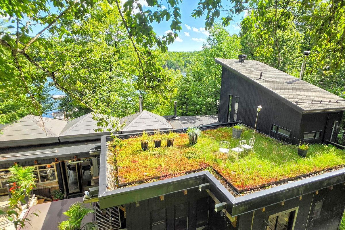 Main cottage building with green roof planting