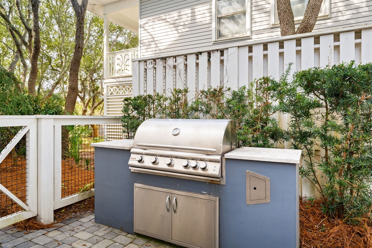 Side A: Fire up the flavor! Premium outdoor gas grill is ready for your local catch or a classic family BBQ.
