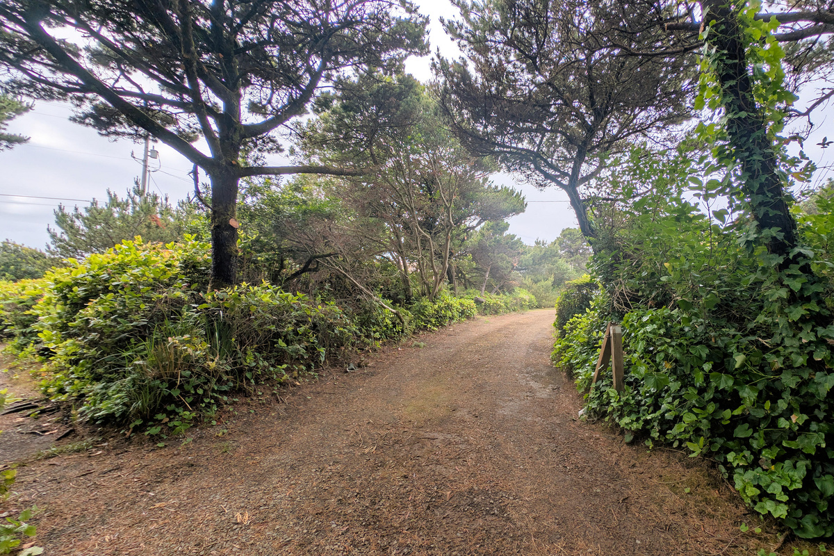 Driveway to back