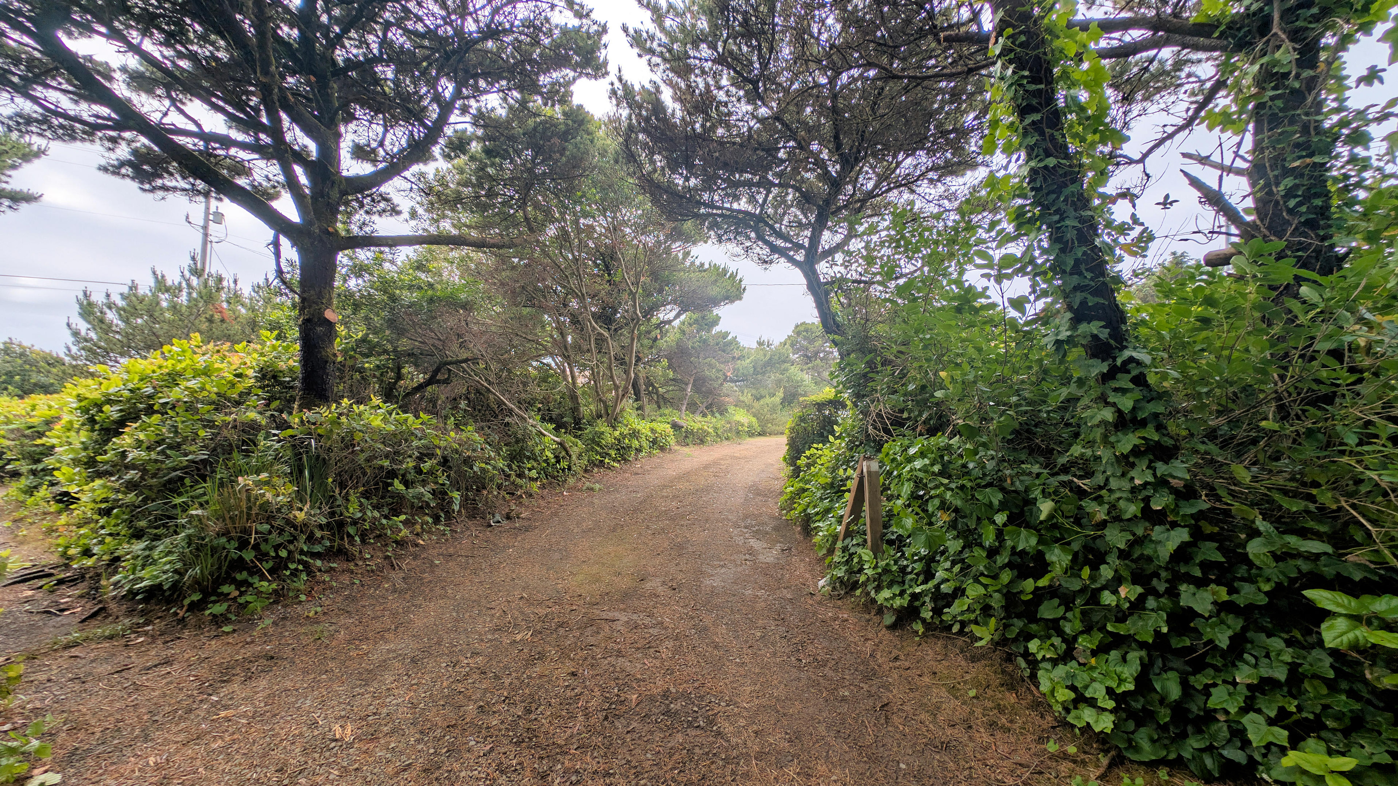 Driveway to back