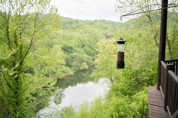 View of Oconaluftee River below