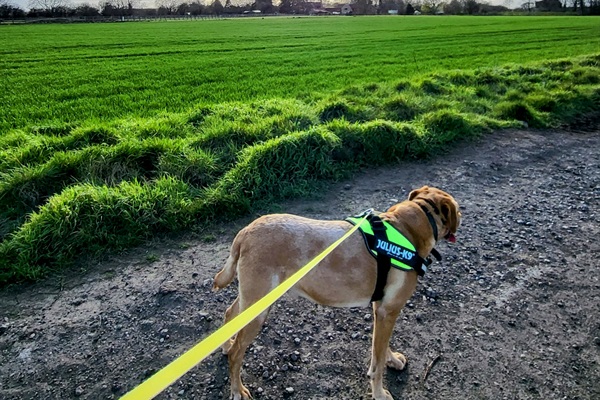 Lovely walks in all directions. This used to be the WW2 airfield.