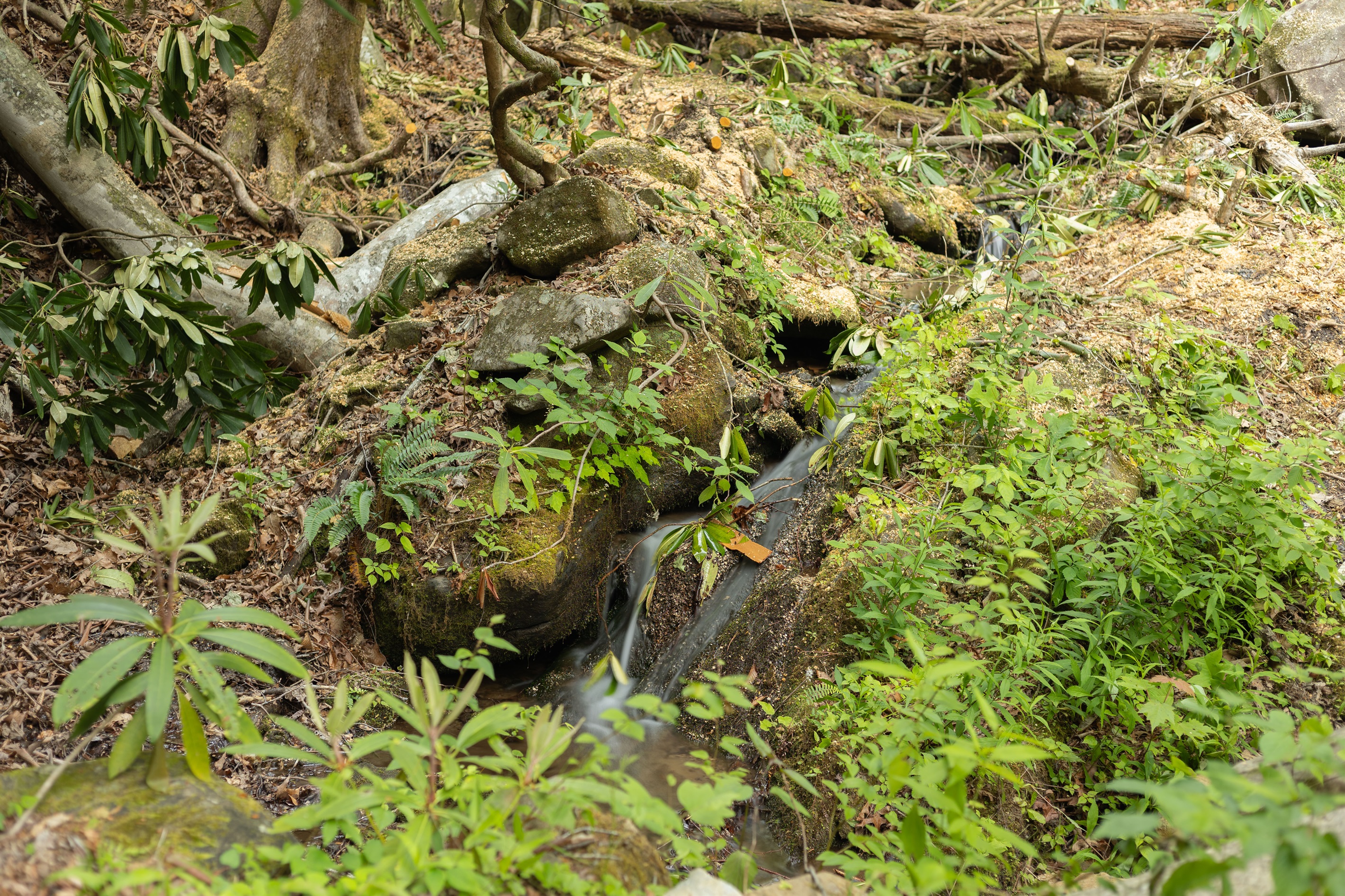 A peaceful waterfall trickles down the mountain, creating a relaxing stream through the property.