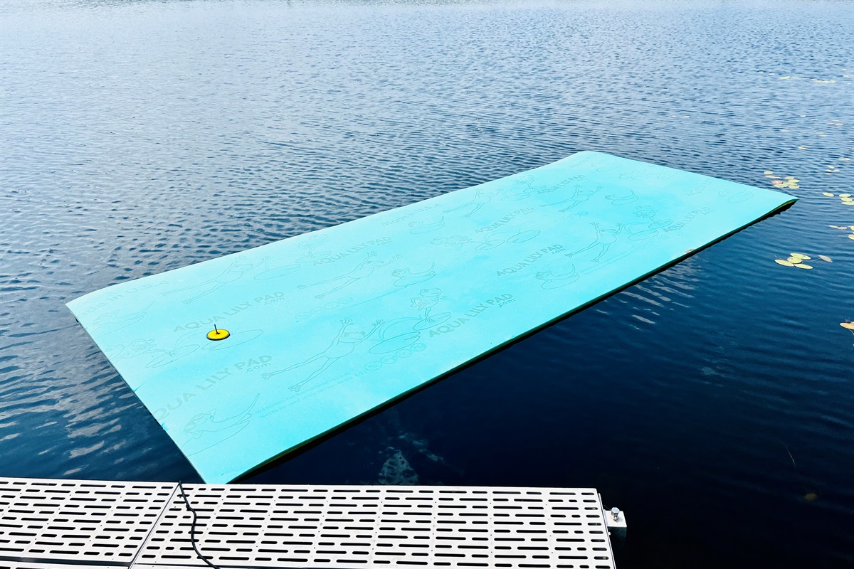 We have a Lilly Pad too! Kids will love playing on it!