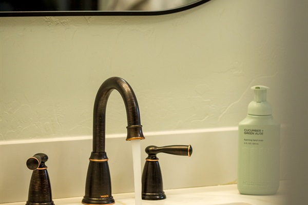Sink in Back Bathroom