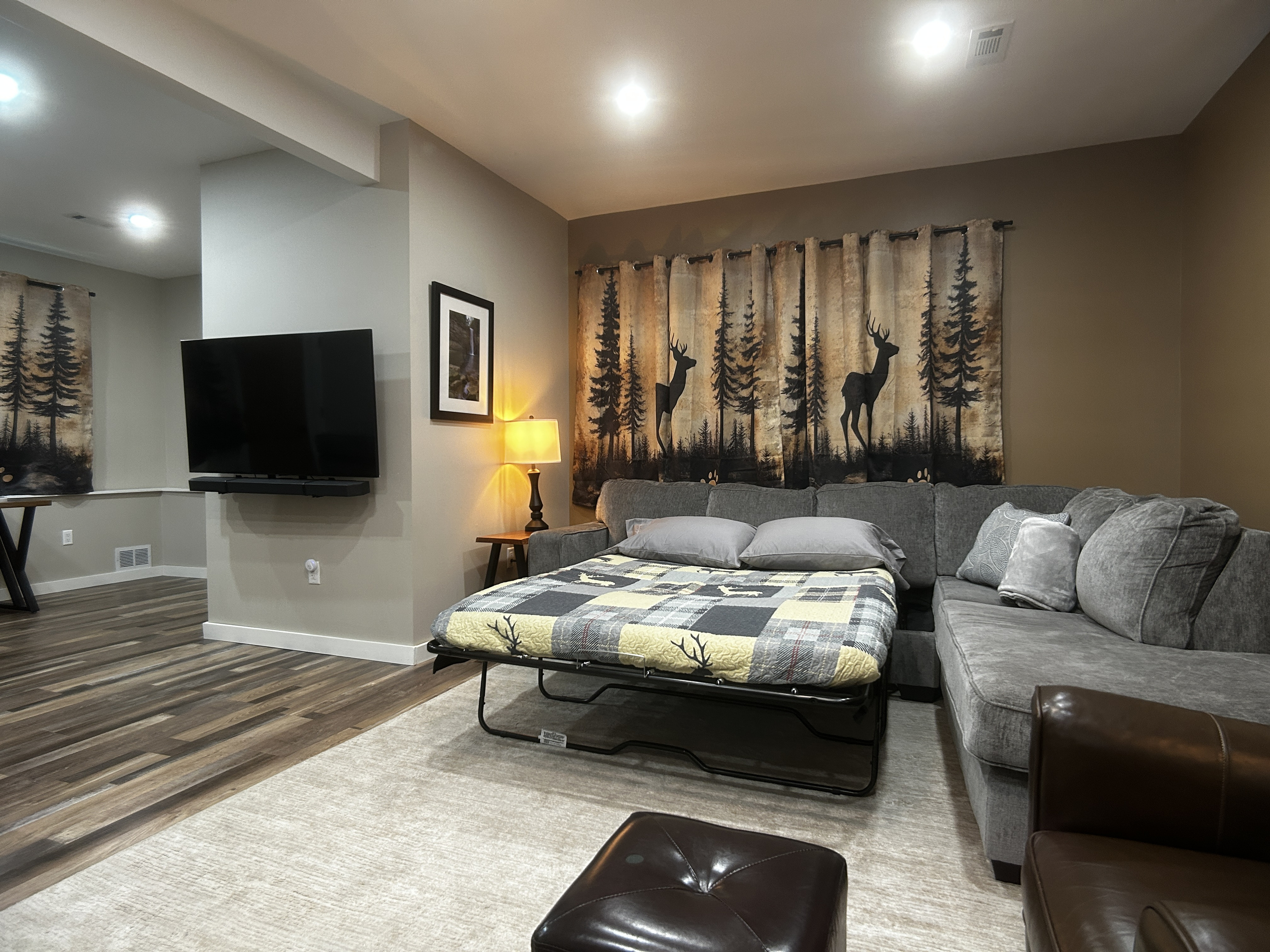 TV with Roku. TV mount allows TV to extend and swivel so it can be viewed from the sofa bed. Room darkening curtains and dimmable lights.