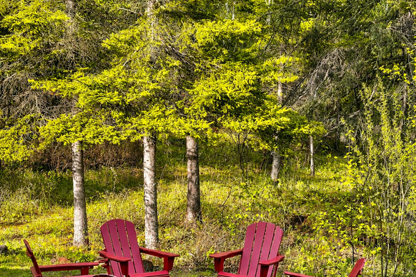 The perfect gathering place after a day of adventure, warm flames, cool night air, and the kind of conversations you never want to end. Just steps outside the basement door.