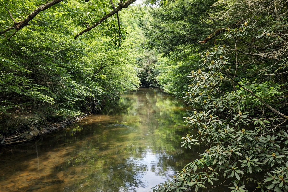 The creek sings softly, inviting you to breathe deeper, wander slower, feel more.