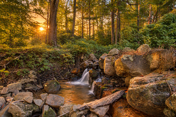 Private creek waterfall on the property with your own hiking trail along the water