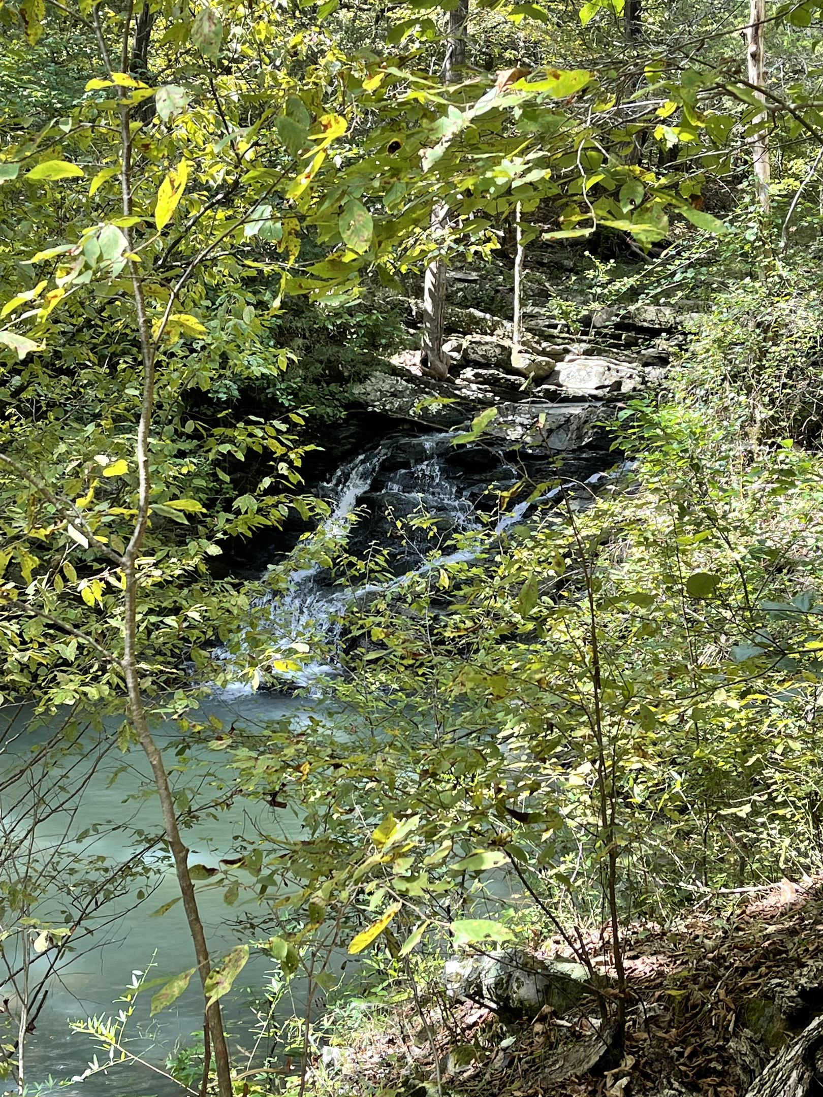 Nearby attraction, not on property: This scenic waterfall and stream are a short drive from First Kiss. Guests often ask us for directions to this favorite local hike — we’re happy to share tips before your stay.
