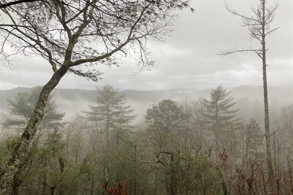 Misty view from the cabin on a cloudy day.