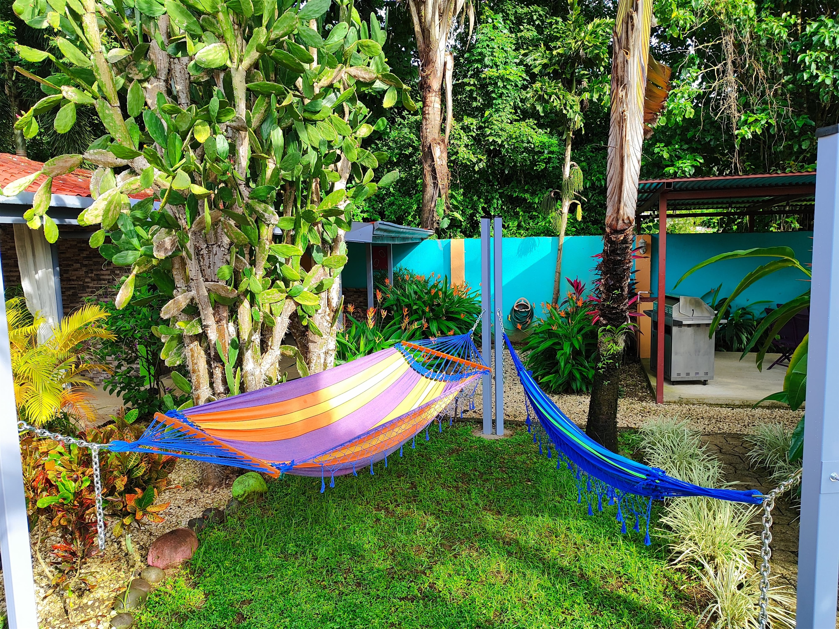 Hammocks