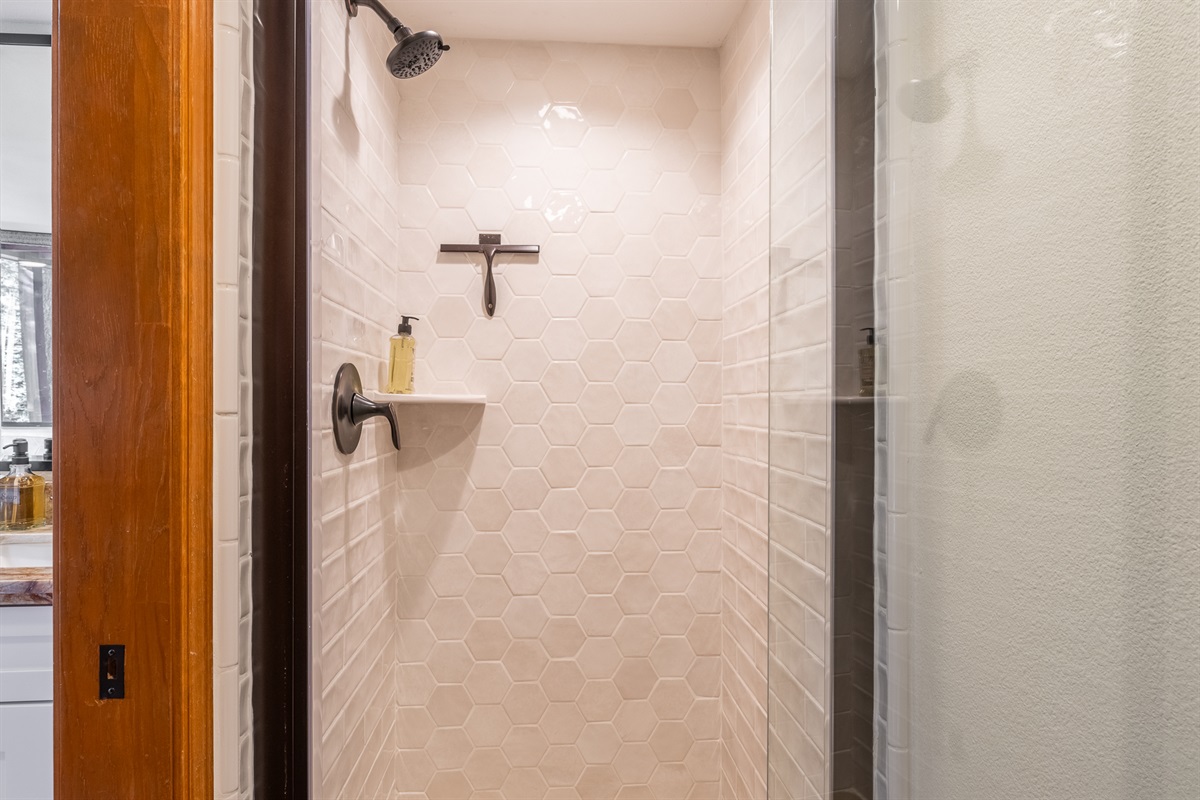 Master Bathroom Shower