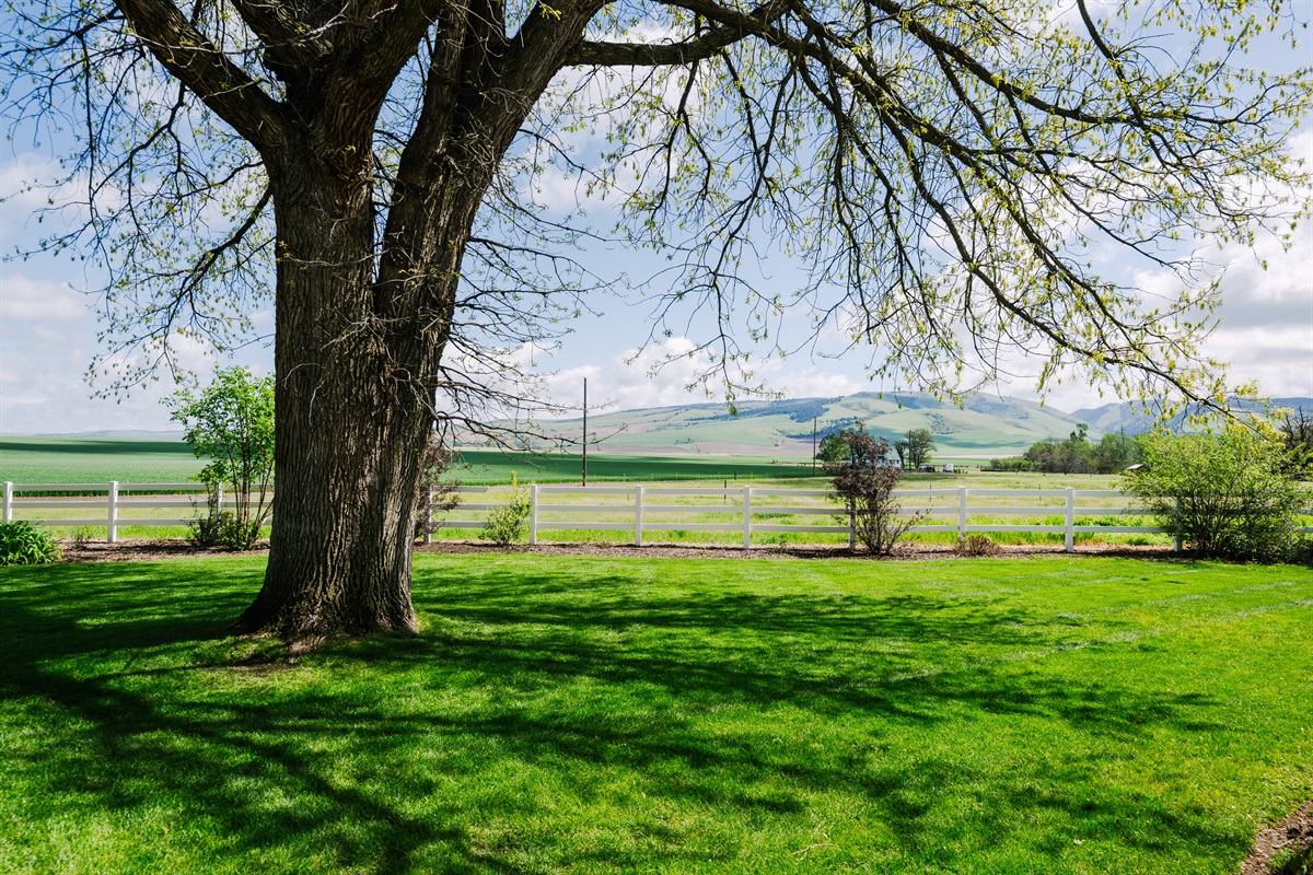 Views of The Blues & fields for miles. 