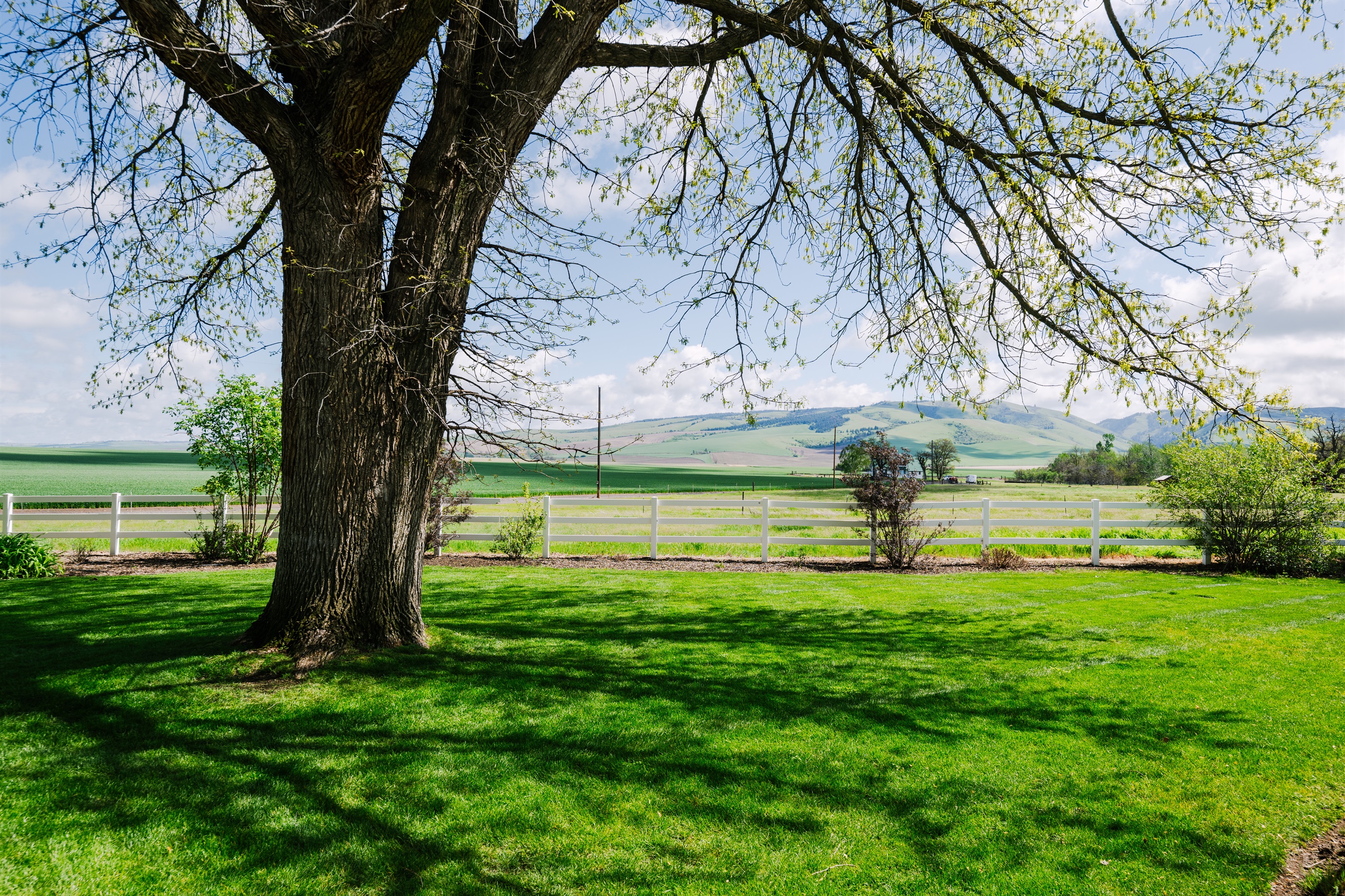 Views of The Blues & fields for miles. 