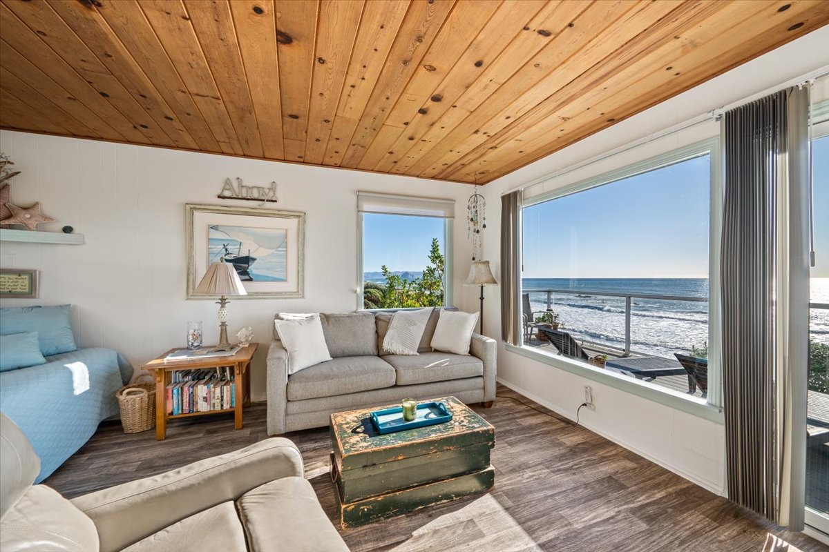 Living room with queen pull-out couch