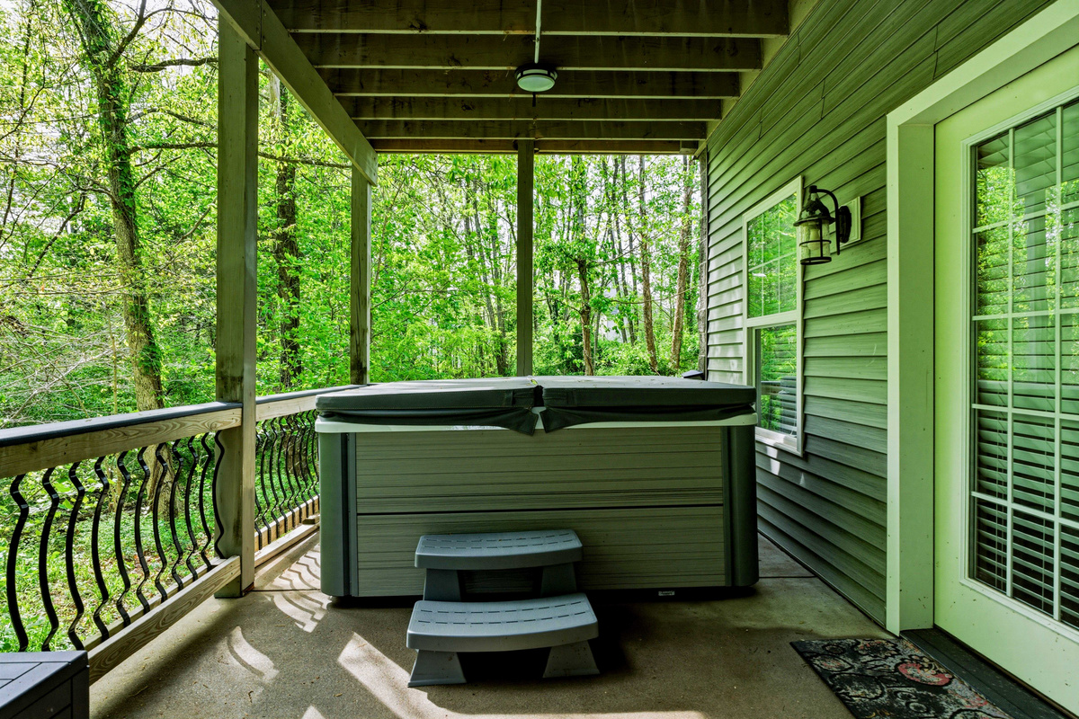 Rear patio and hot tub