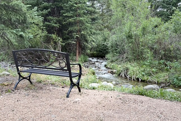 A quiet creekside bench offers the perfect place to slow down, listen to the water, and enjoy the surrounding forest.