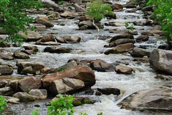 Explore the river!