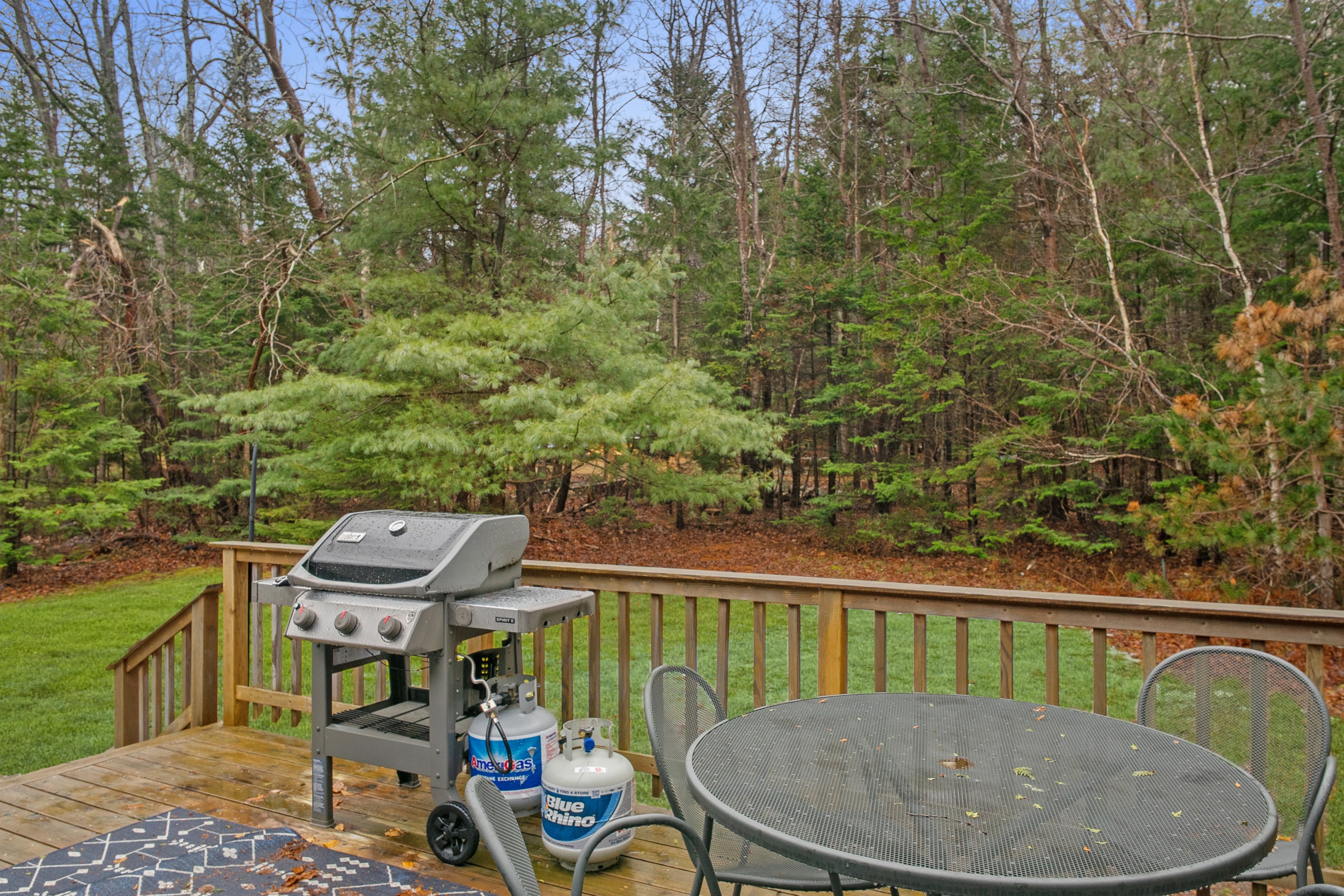 Back Deck - Propane Grill