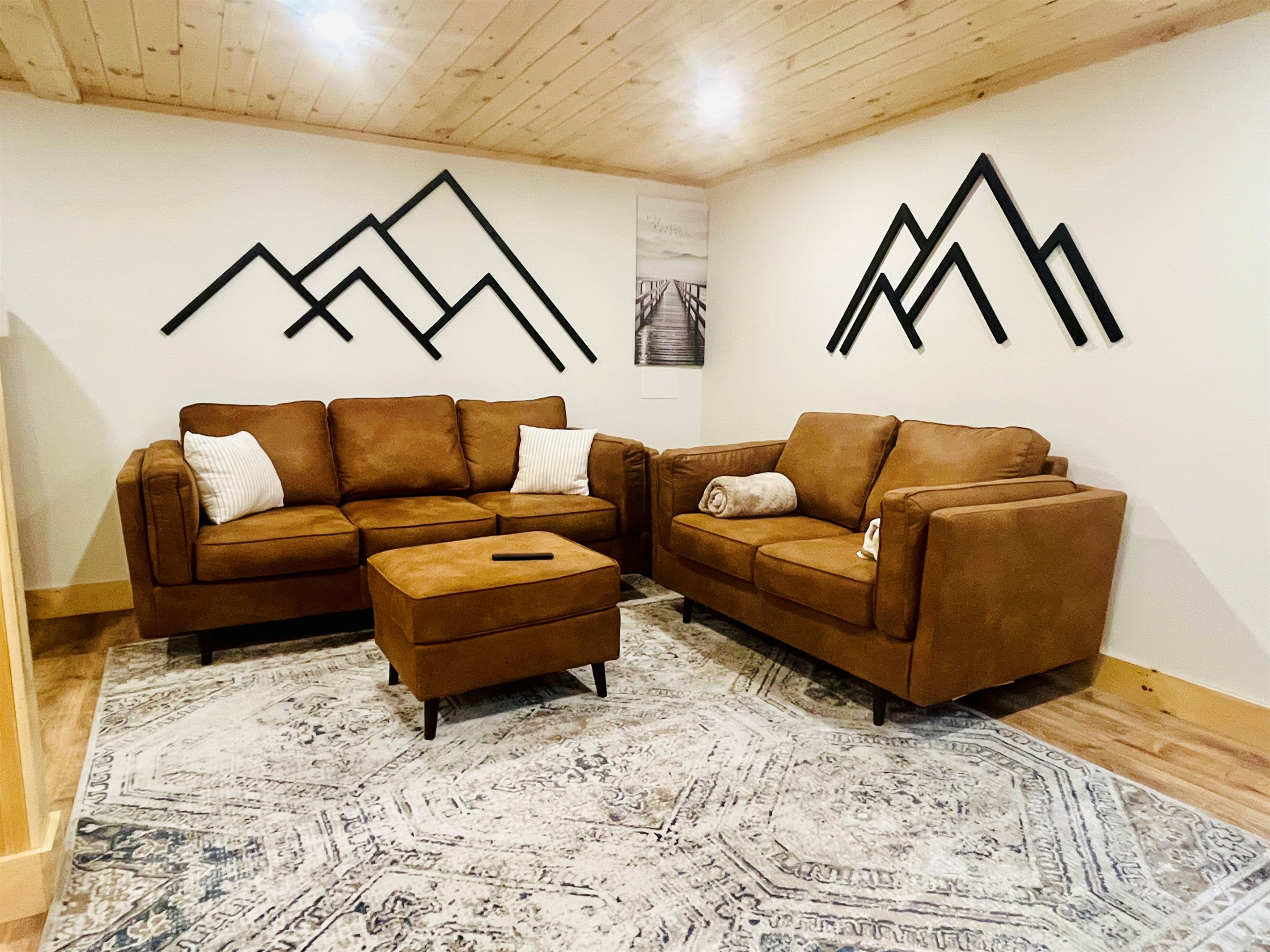 Lower level living area